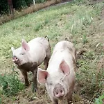 Serratone Gospodarstwo agroturystyczne