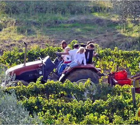 Serratone Farm stay