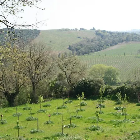Serratone Preselle