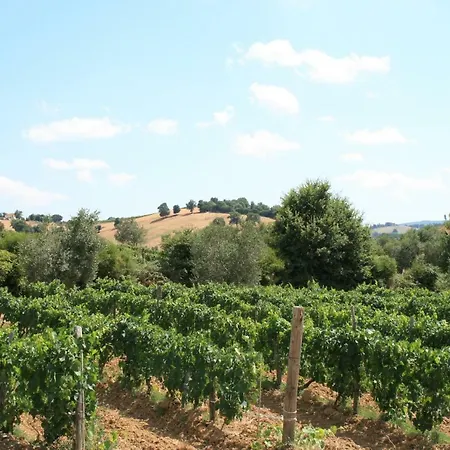 Farm stay Serratone *